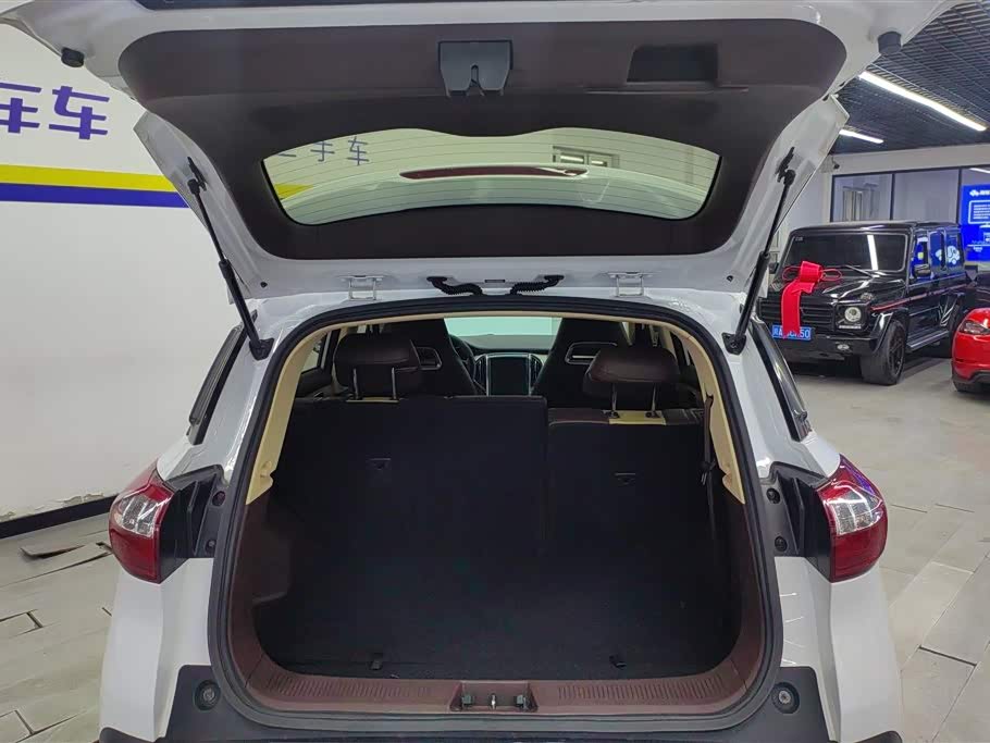 Leopaard Cheetah CS9