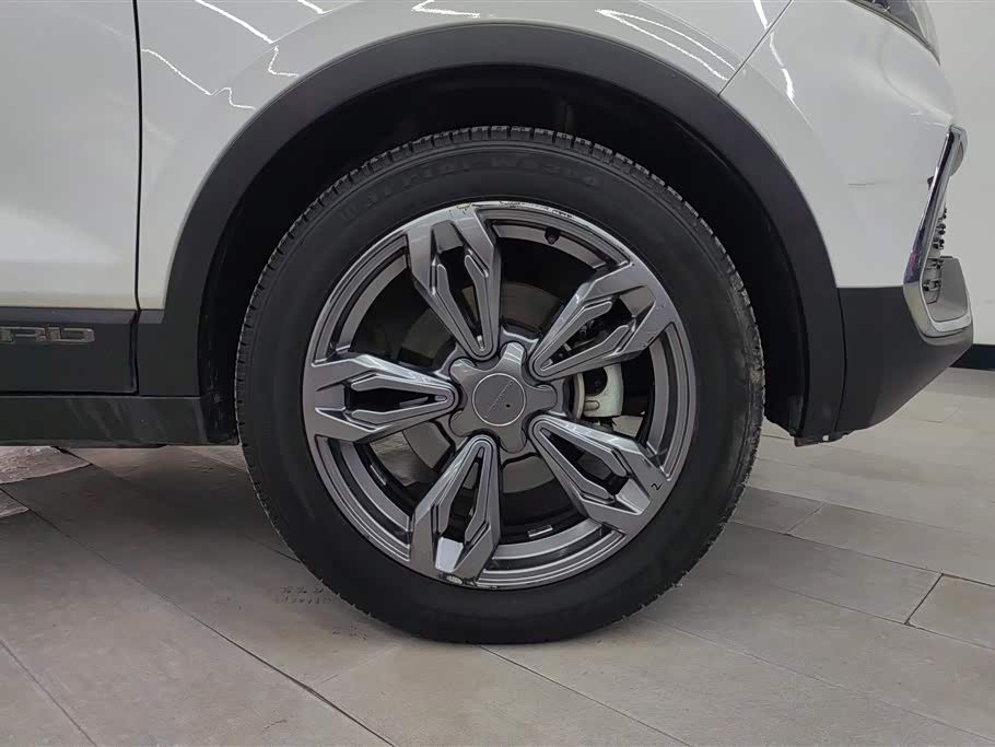 Leopaard Cheetah CS9