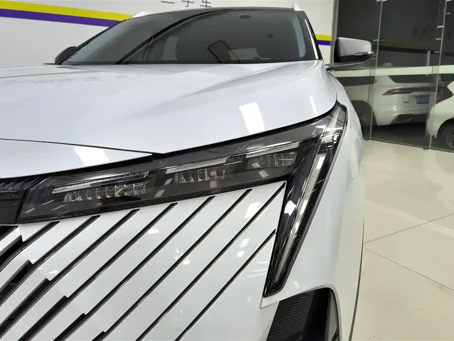 Trumpchi Shadow cool