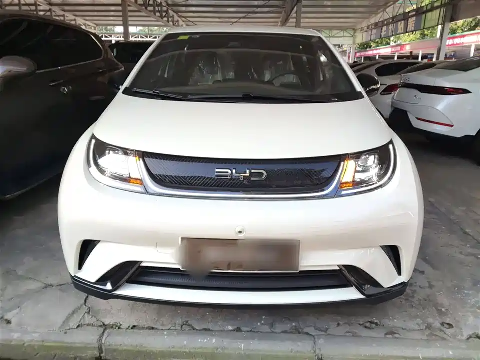 BYD dolphin BYD dolphin