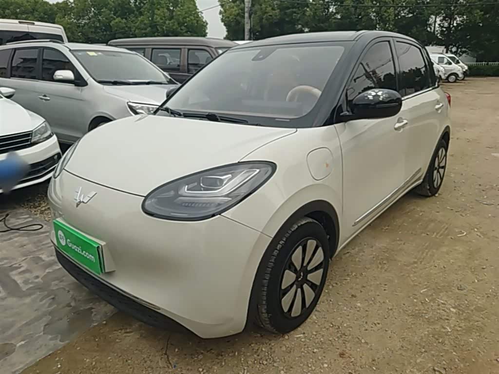 Wuling Binguo