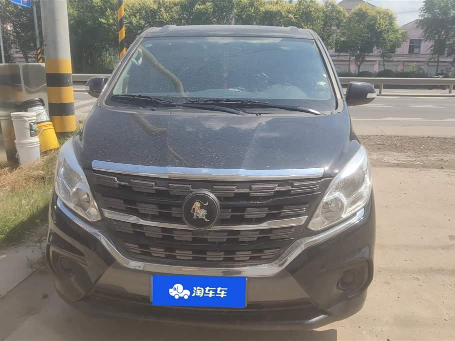 Forthing Lingzhi PLUS