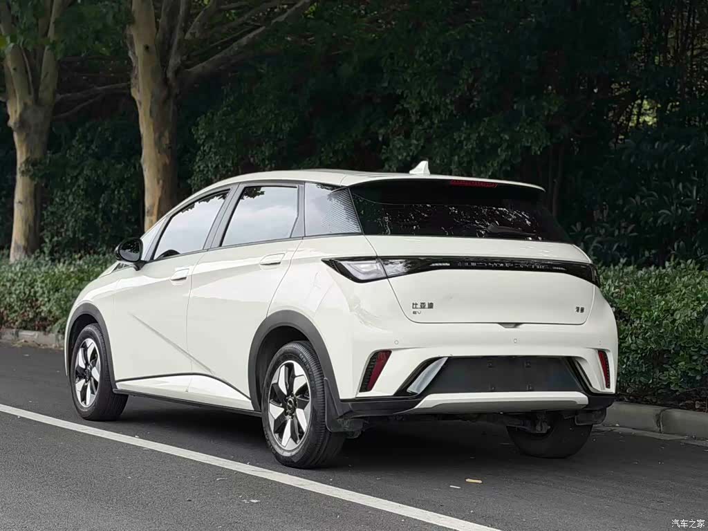 BYD Dolphin, 2025 25
