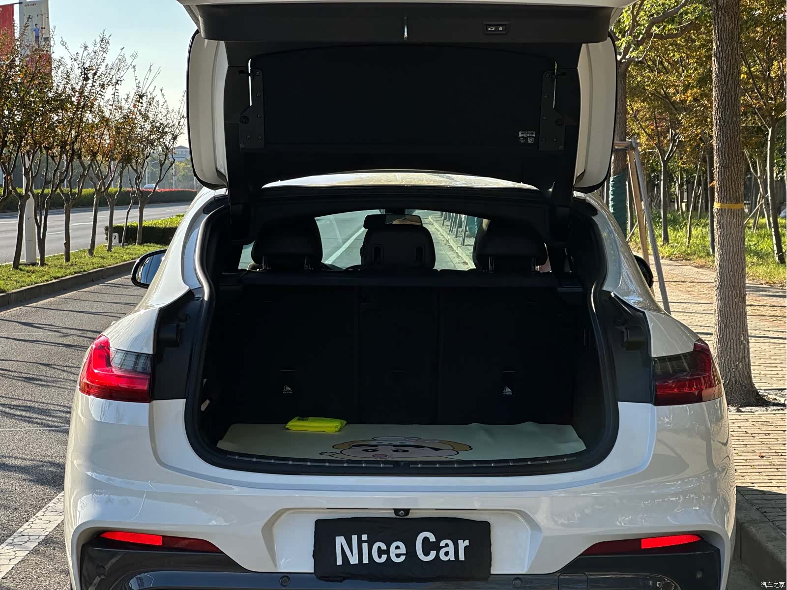 BMW X4, 2019 23