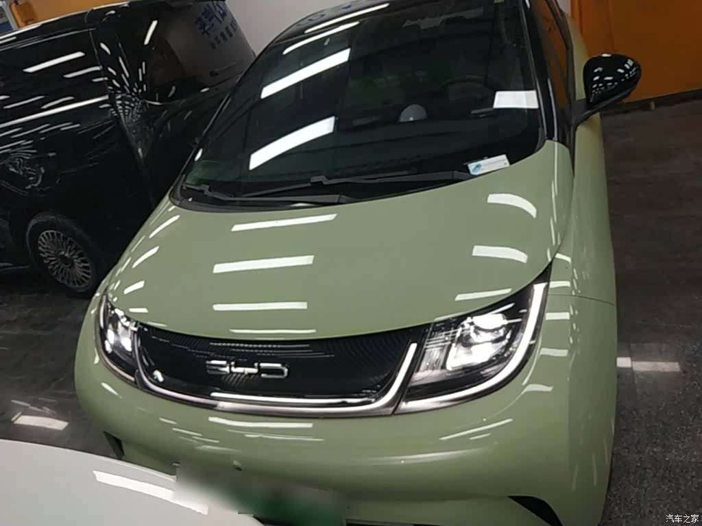 BYD Dolphin, 2022 3