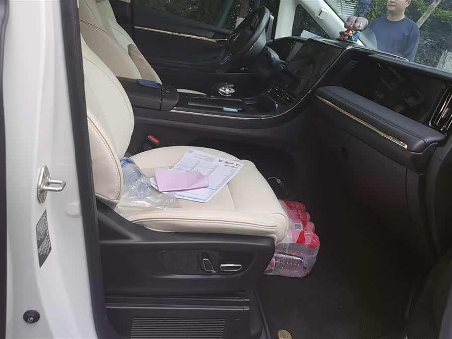 Trumpchi Trumpchi E9