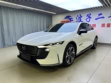 ���Դ�EZ-6 2024�� ����200