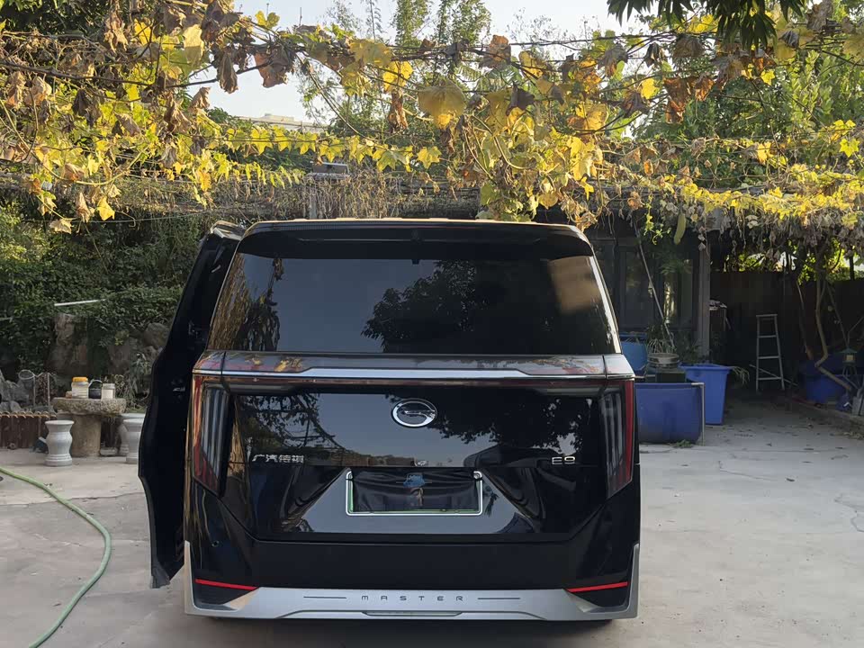 Trumpchi Trumpchi E9