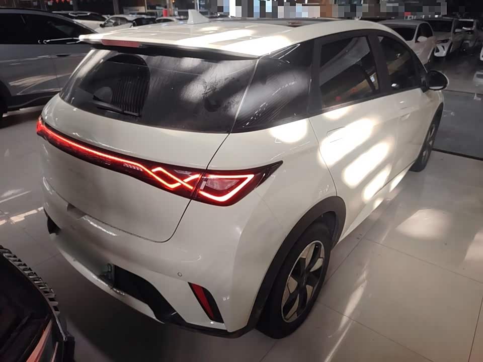 BYD dolphin BYD dolphin