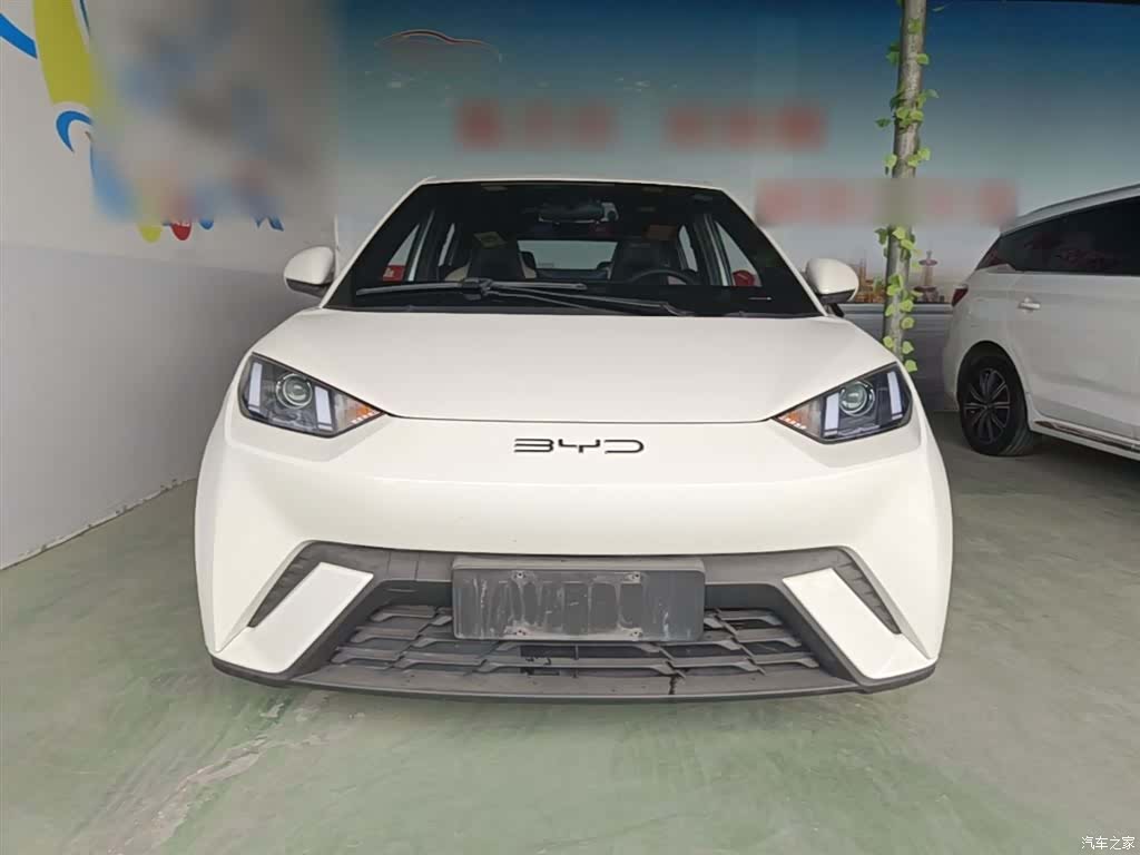 BYD Seagull, 2023 3