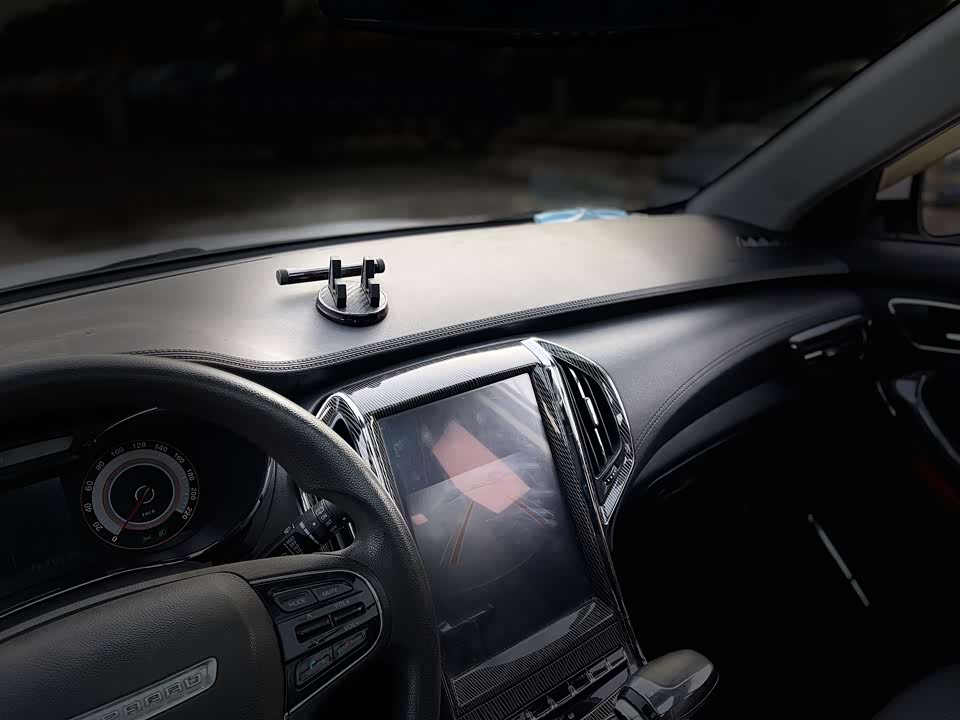 Leopaard Cheetah CS9