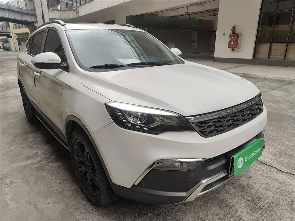 Leopaard Cheetah CS10