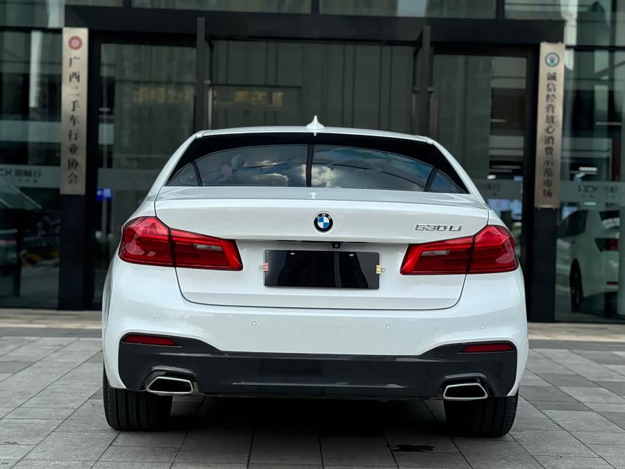 BMW 5 Series 2017, фото 16