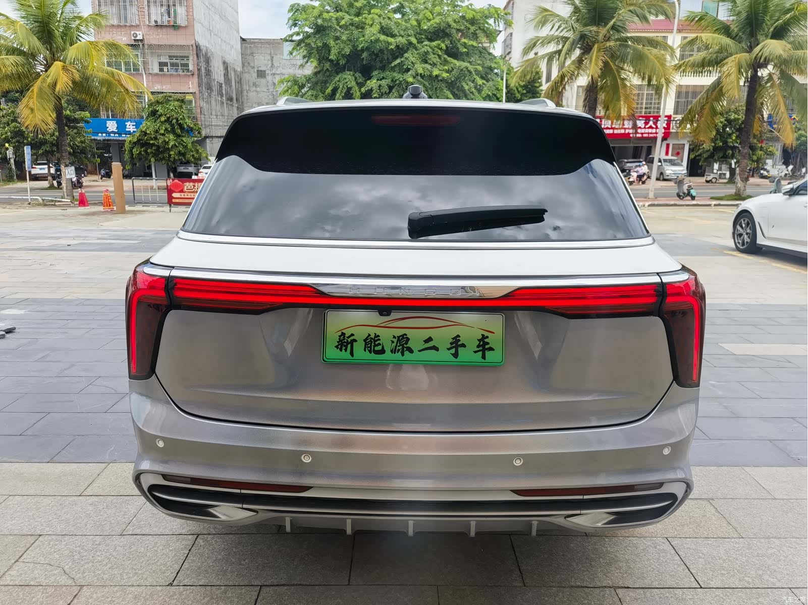 Hongqi E-HS9, 2021 9