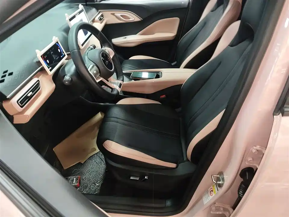 BYD Seagull
