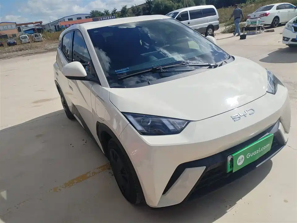 BYD Seagull