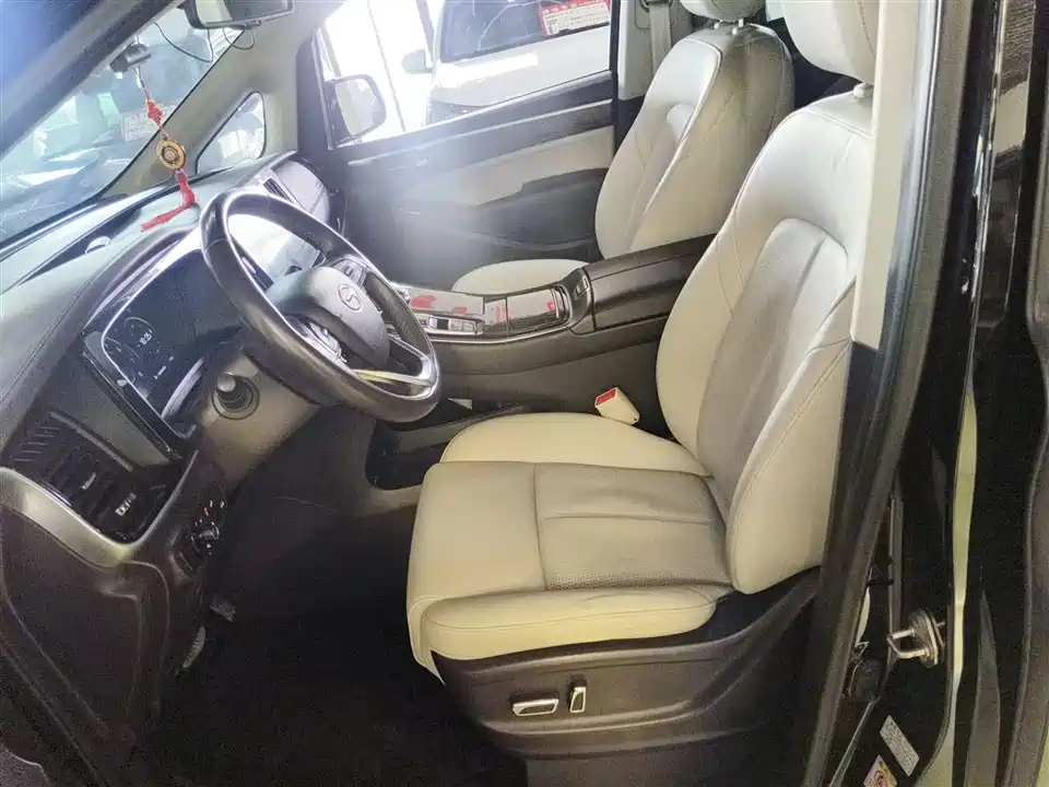 Trumpchi Trumpchi M8