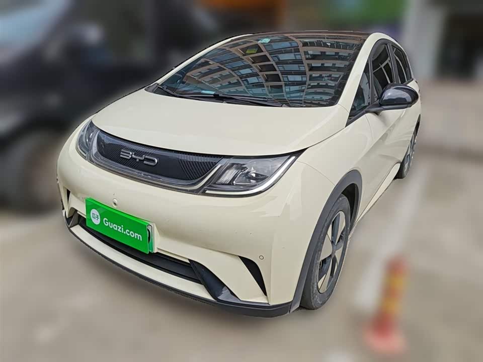 BYD dolphin