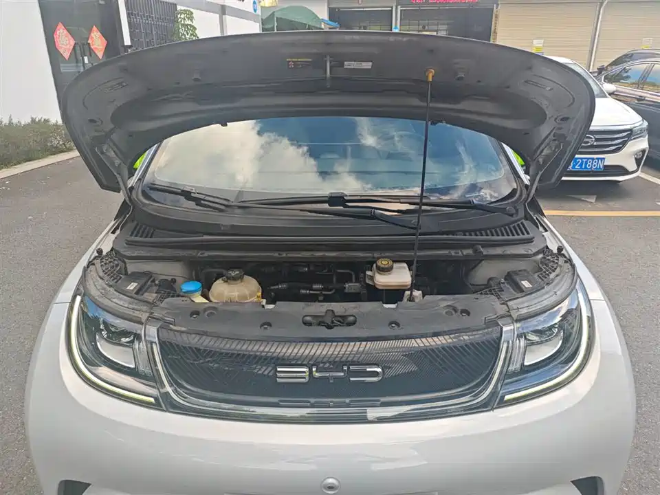 BYD dolphin BYD dolphin