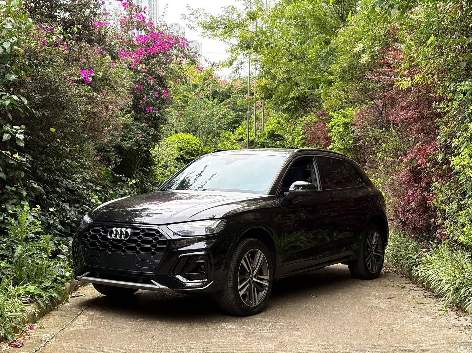 Audi Q5L