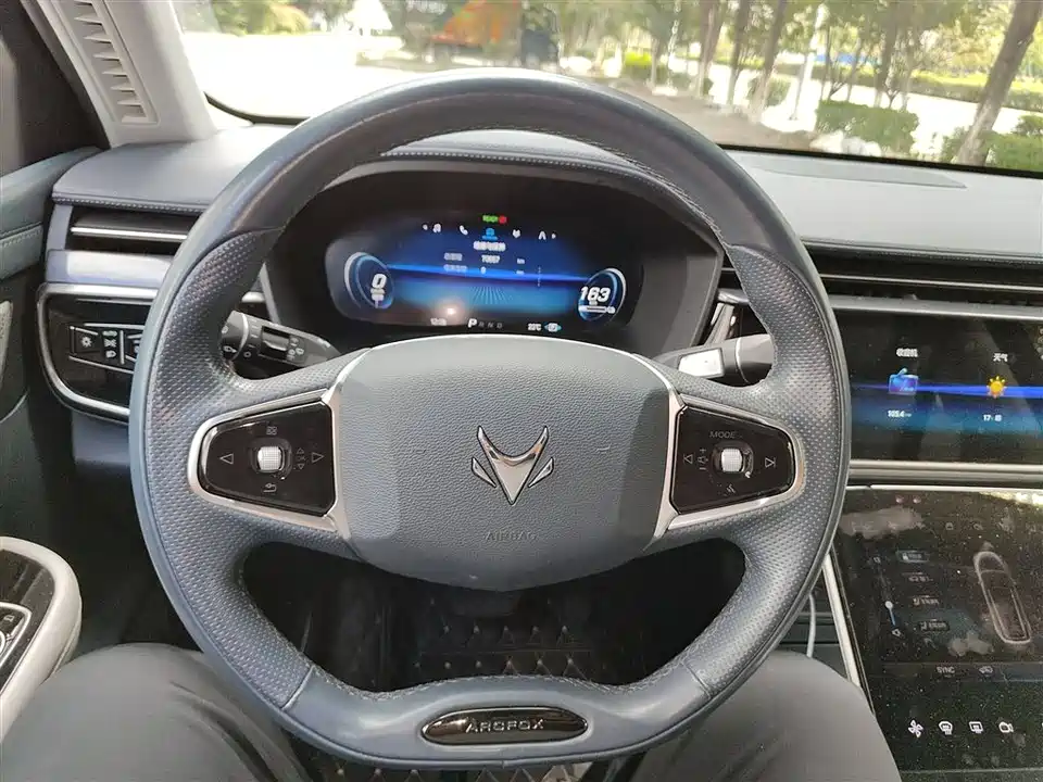 ARCFOX Polar Fox Alpha T