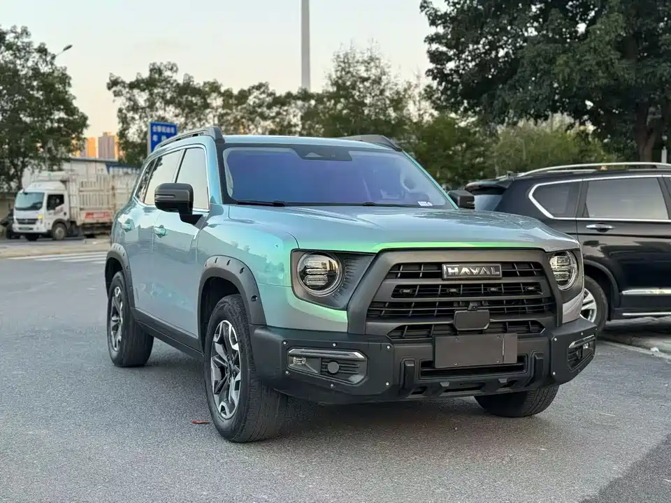 Haval Big dog