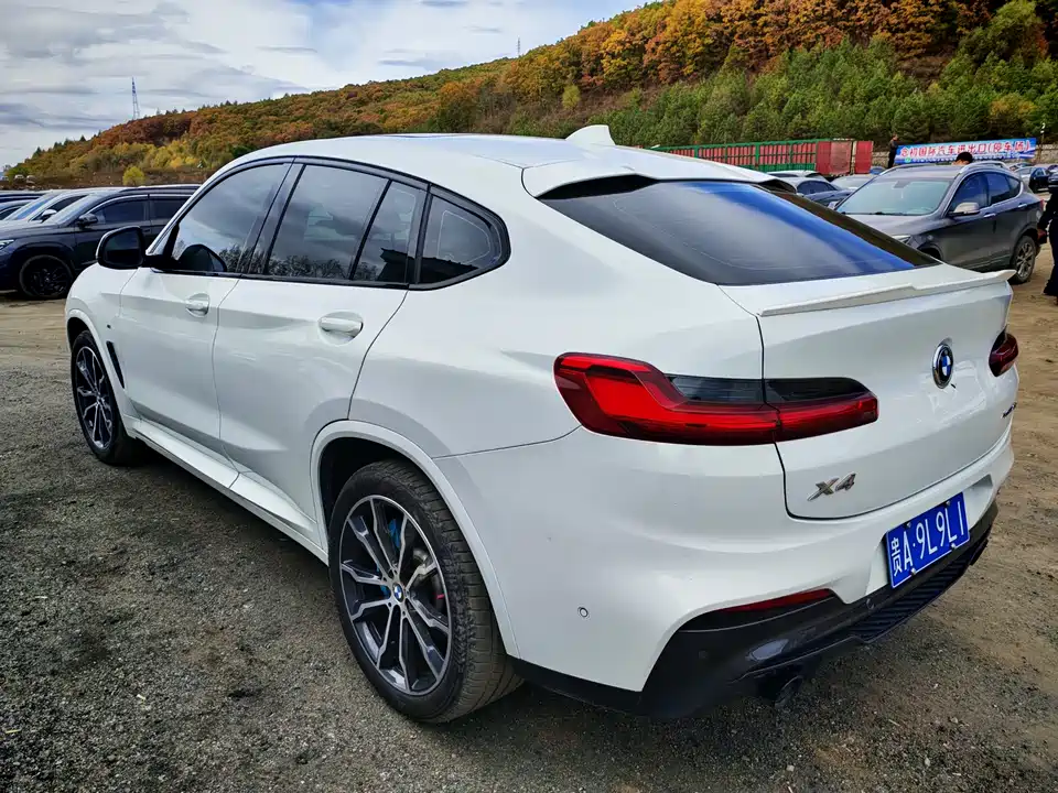 BMW X4 BMW X4