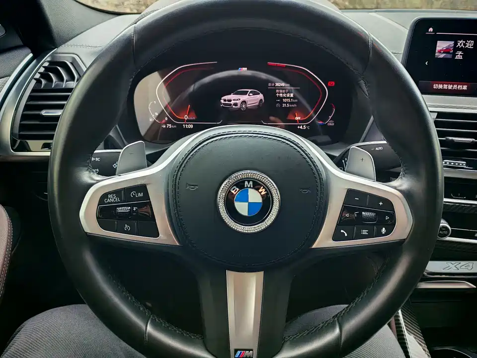 BMW X4 BMW X4