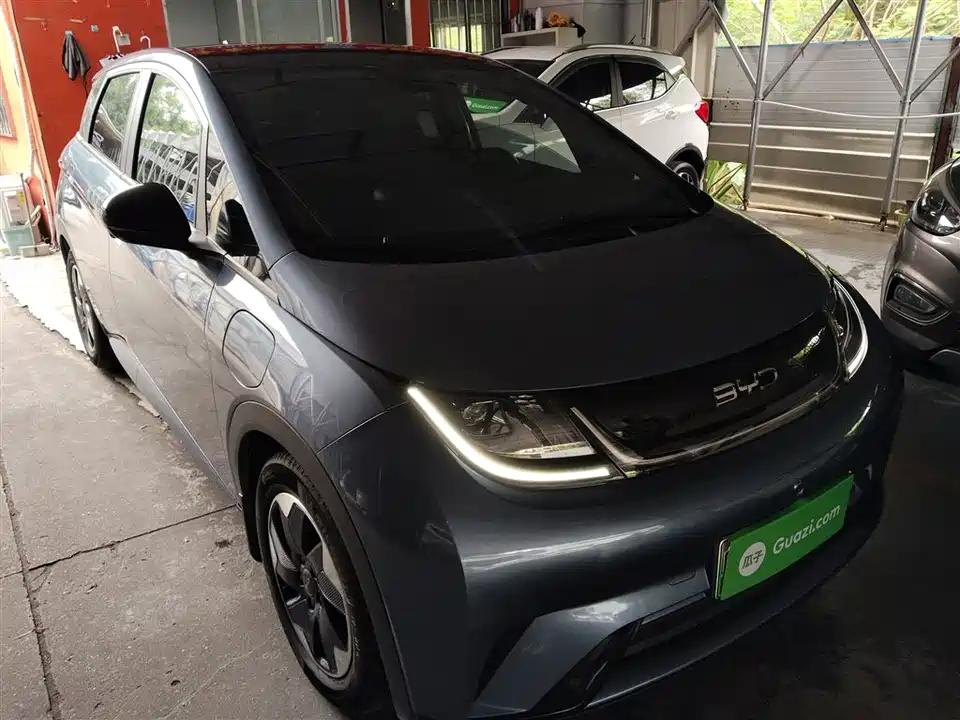 BYD dolphin