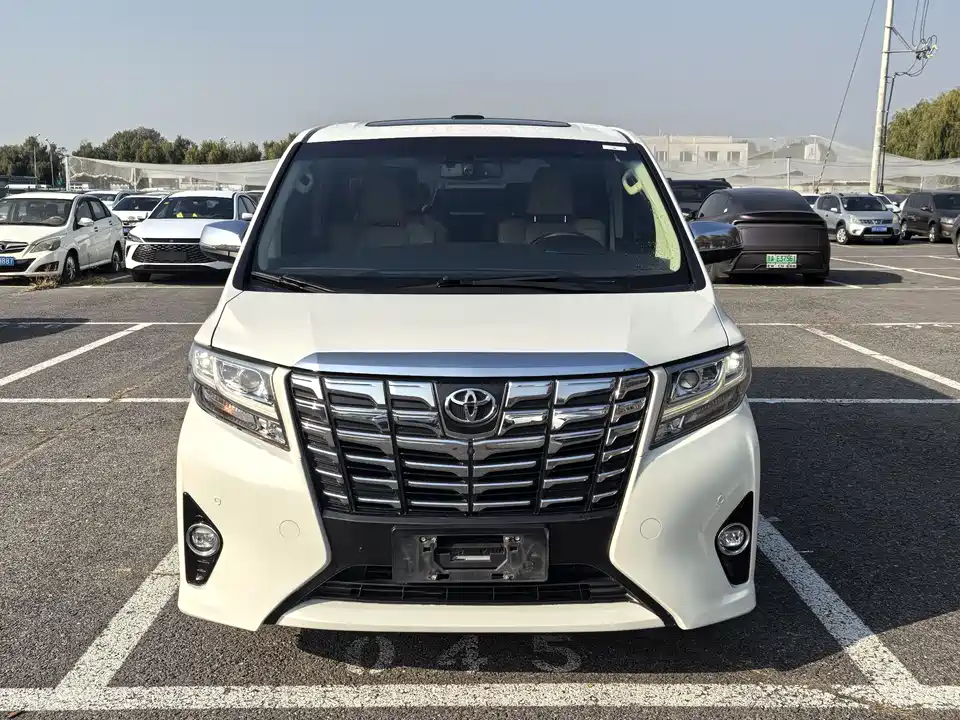 Toyota Elfa