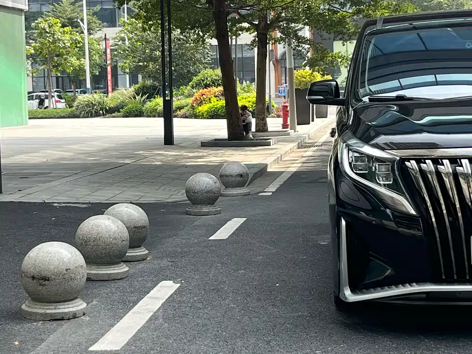 Trumpchi Trumpchi M8