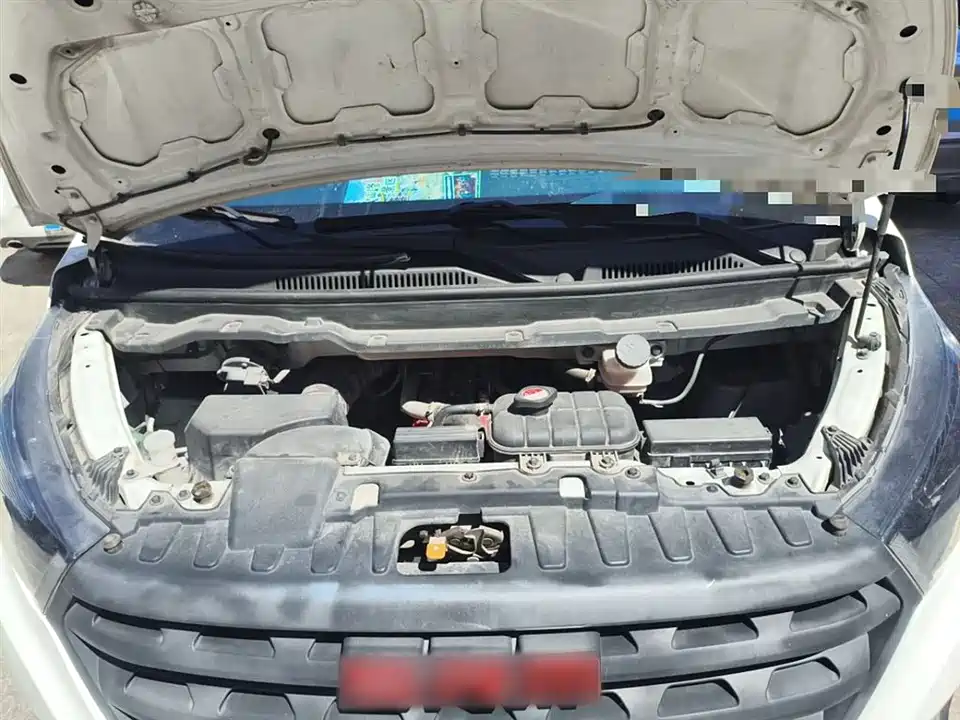 Jinbei Golden Sea Lion M Classic