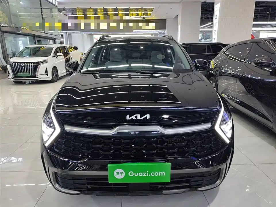 Kia Lion Platinum expands the world