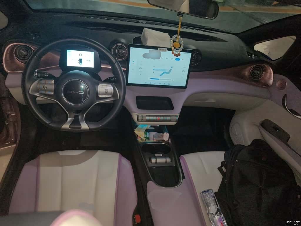 BYD Dolphin, 2022 13