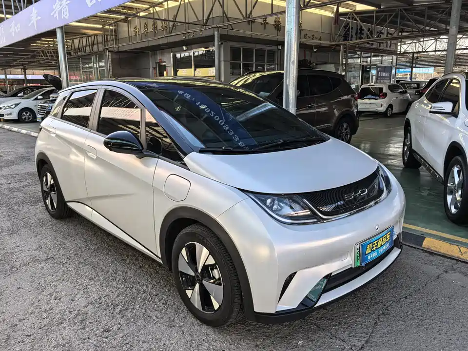 BYD dolphin