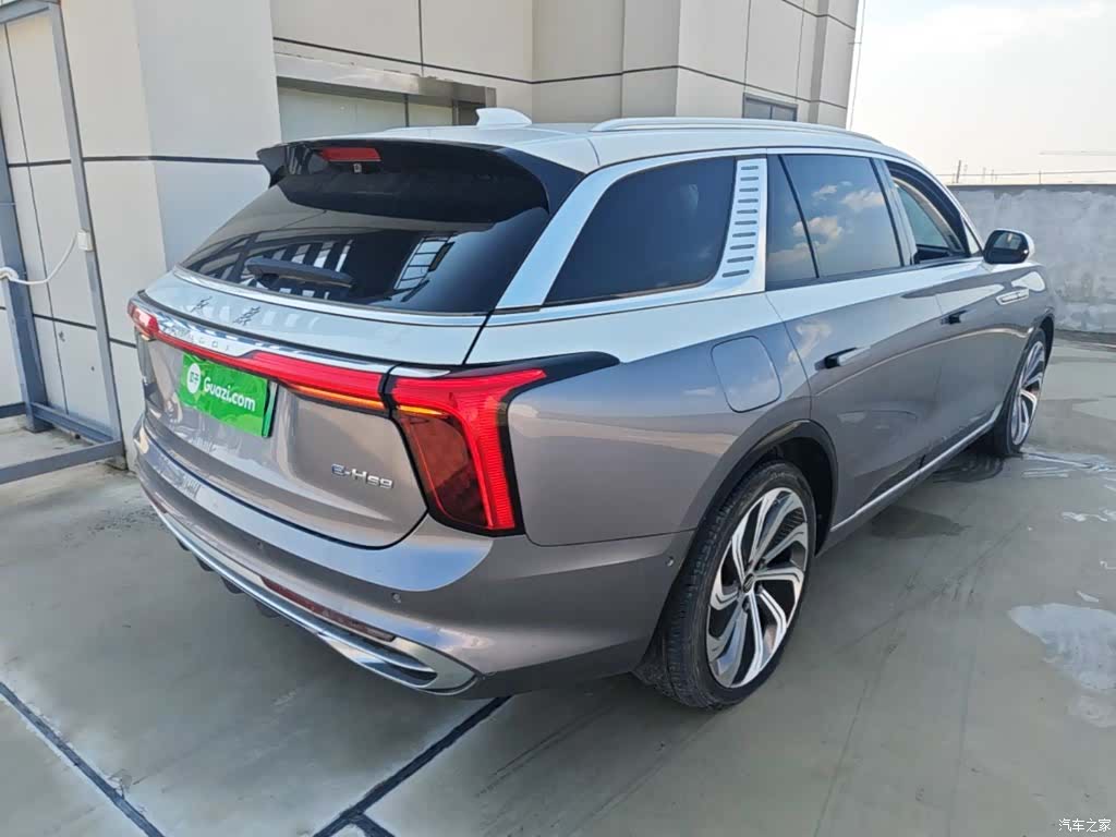 Hongqi E-HS9, 2023 7