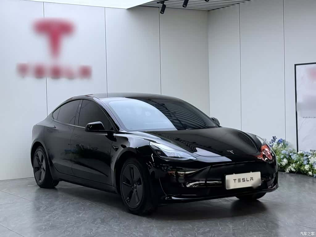 Tesla Model 3, 2023 4