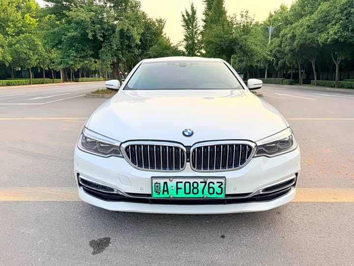 BMW 5 Series xin neng yuan 2019 530Le hao hua tao zhuang