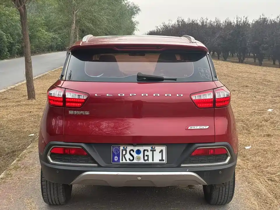 Leopaard Cheetah CS9