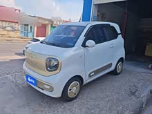 ����С�� 2025�� 222km �鶯��