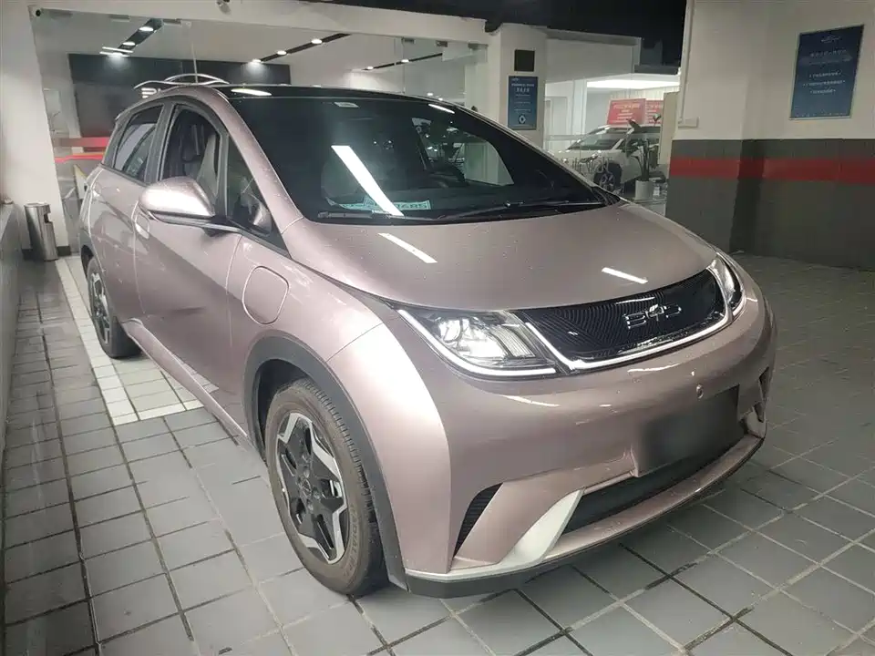 BYD dolphin