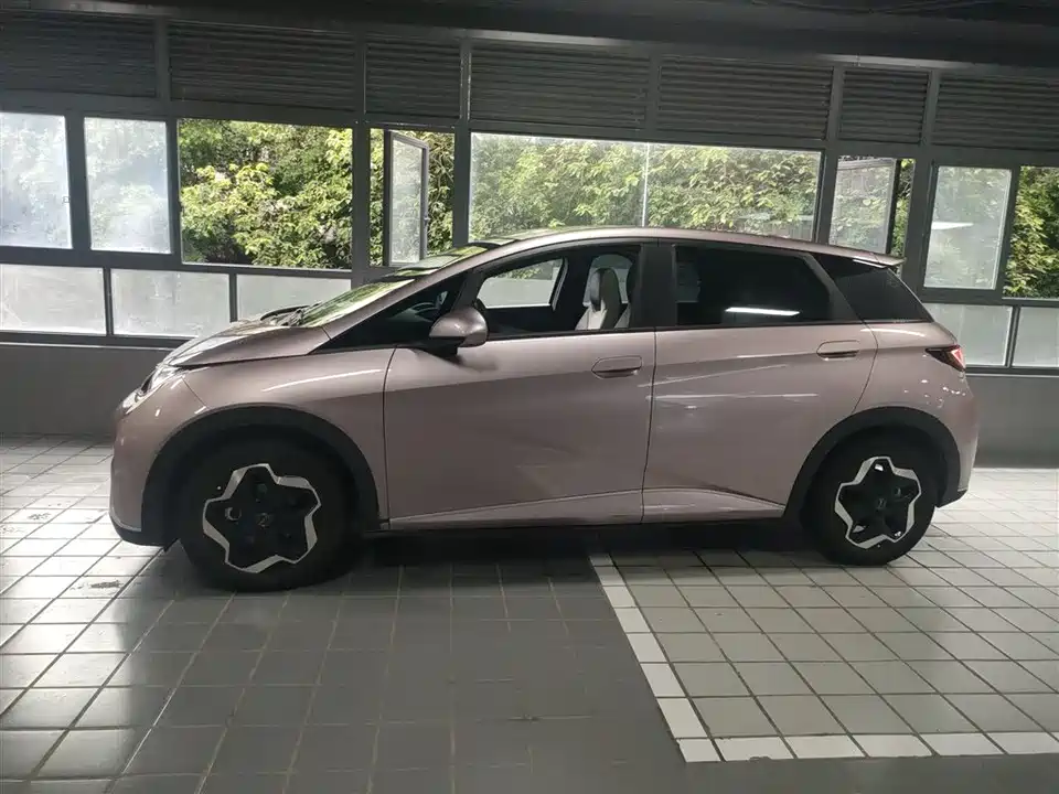 BYD dolphin