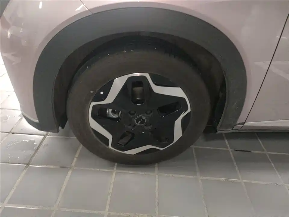 BYD dolphin