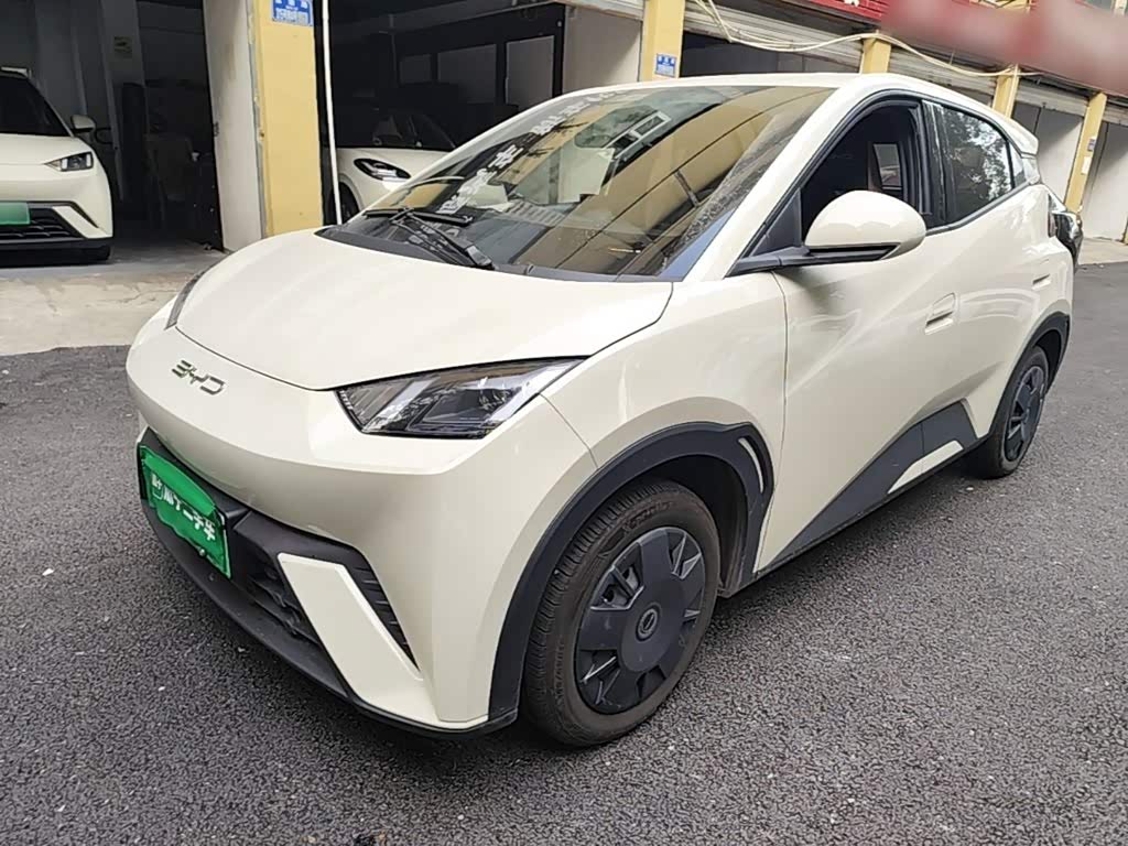 BYD Seagull 2024 305km
