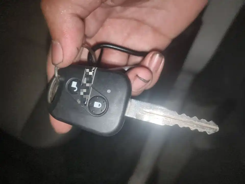 Jinbei Little Sea Lion X30