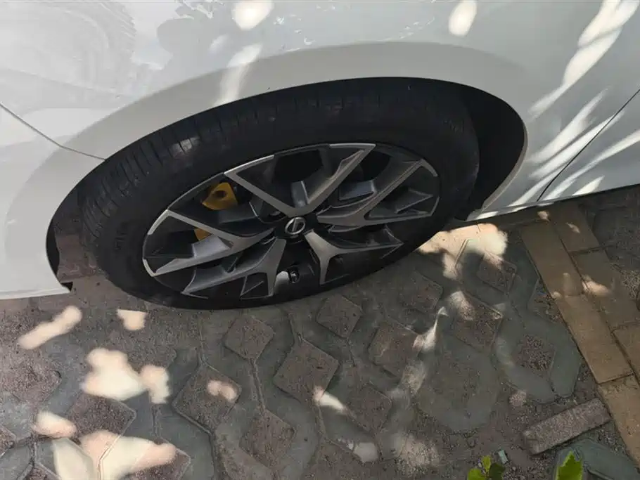 Trumpchi Shadow Leopard