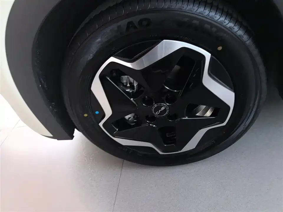 BYD dolphin