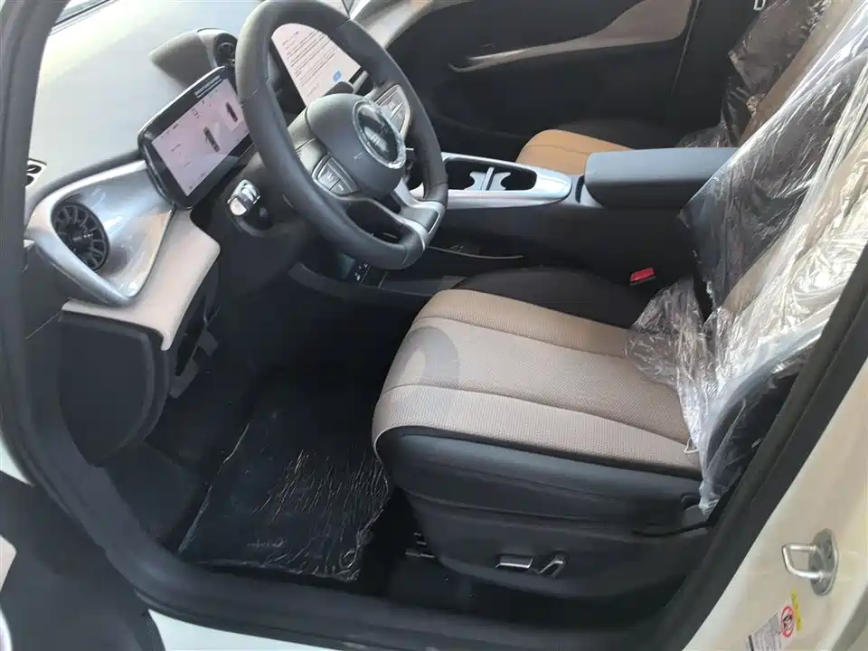 BYD dolphin