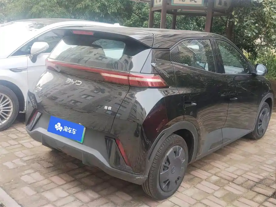 BYD Seagull