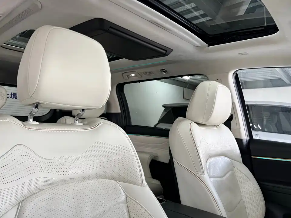 Trumpchi Trumpchi E9